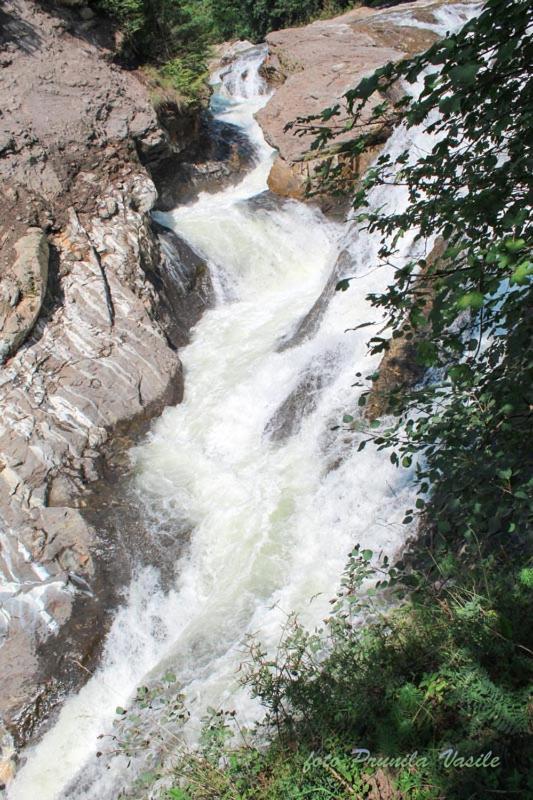 Pensiunea Cascada Putnei Lepsa Bagian luar foto